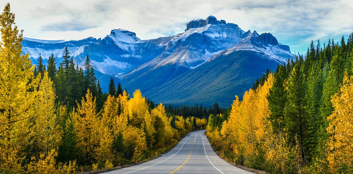 Straße im Jasper Nationalpark