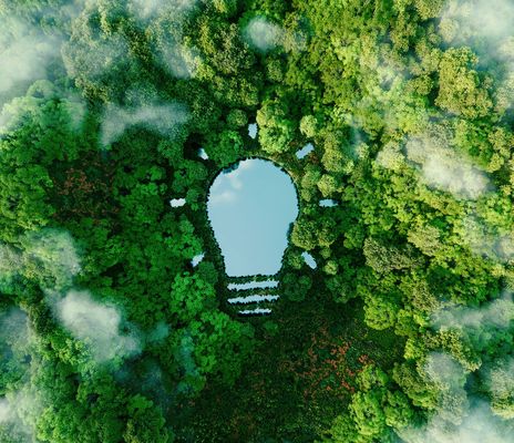 Glühbirne in Natur integriert als Zeichen für Nachhaltigkeit