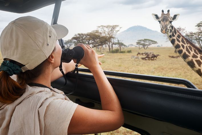 Frau erblickt Giraffe im Serengeti Nationalpark