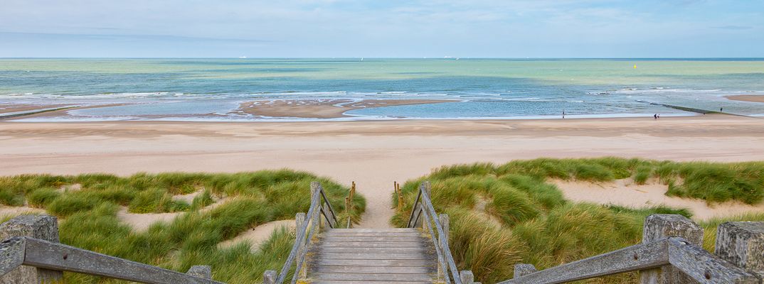 Dünenlandschaft an der belgischen Nordseeküste in Flandern