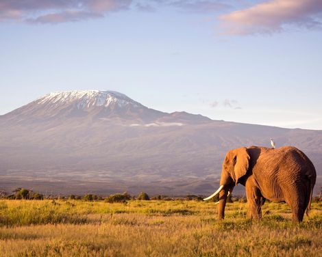 Safari, Savanne & Strandträume-0