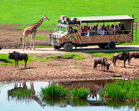 Afrika-Abenteuer im Serengeti-Park-1