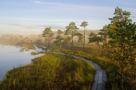 Landschaft im Soomaa-Nationalpark