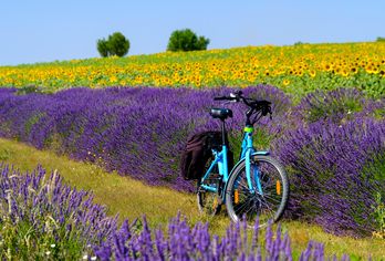 Frankreich - Provence & Rhône