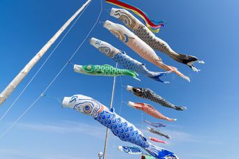 Wehende Koi-Flaggen an Kodomo No Hin in Japan