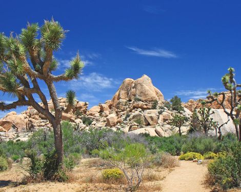 Entlang der Route 66: Von Las Vegas bis zum Grand Canyon-3