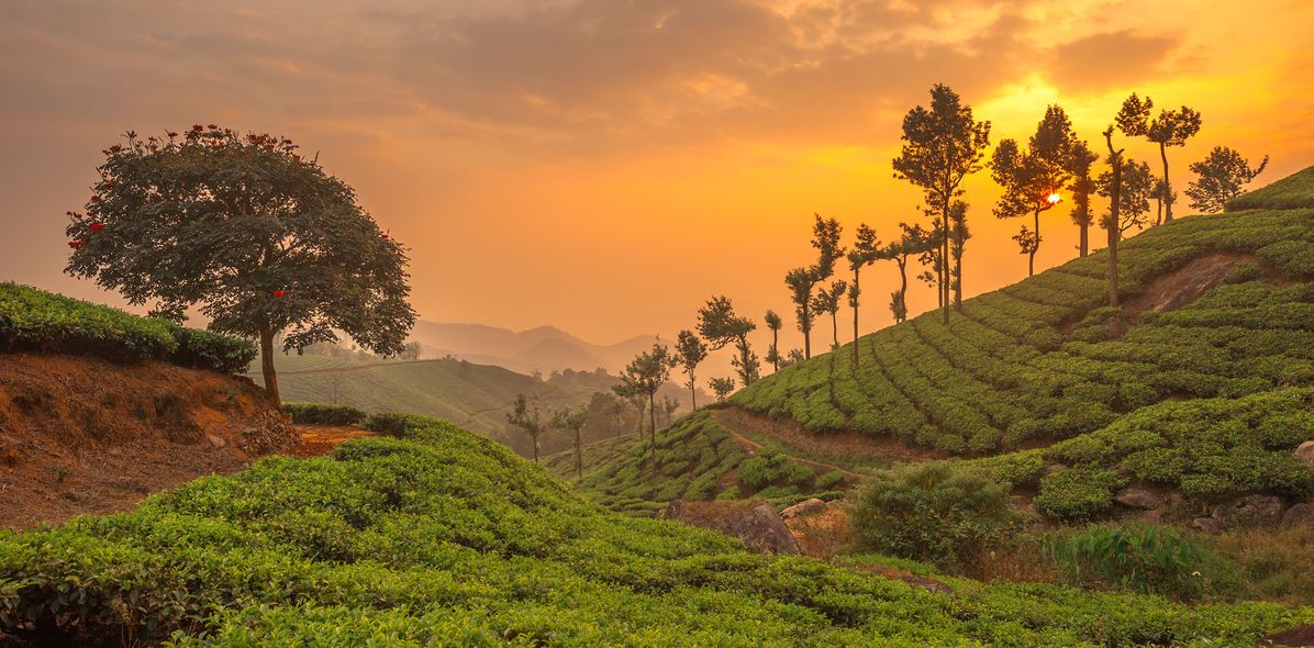 Blick auf Munnar bei Sonnenuntergang