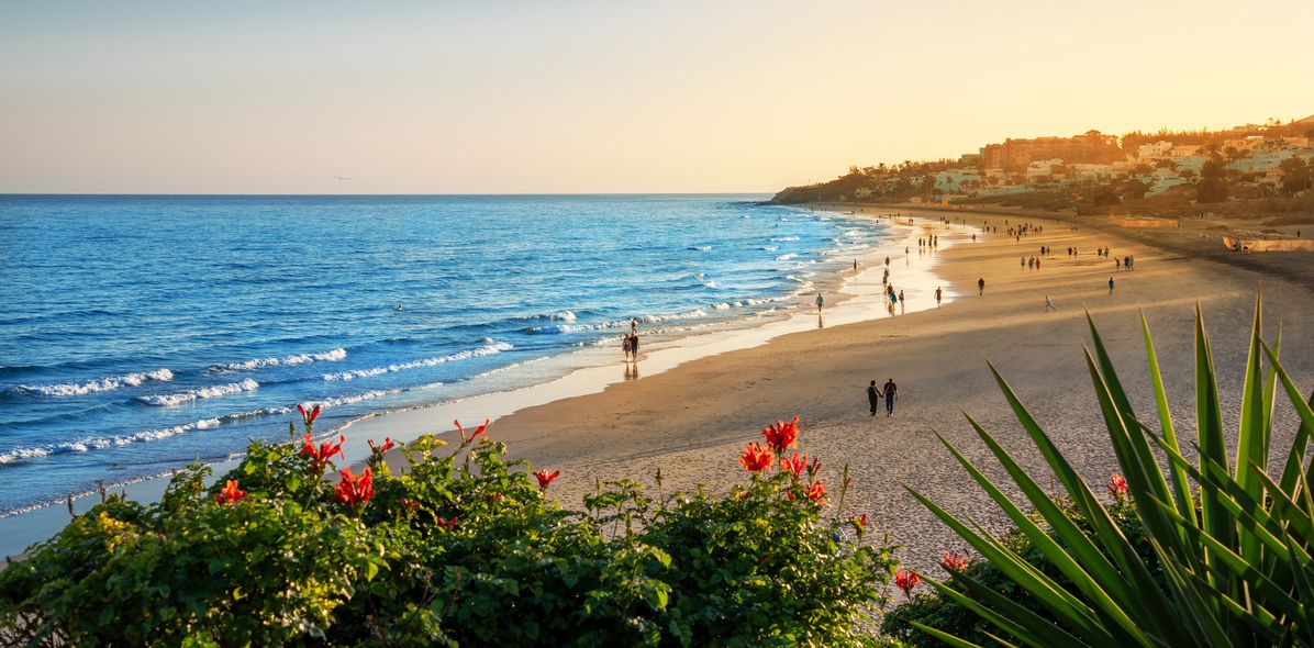 Abendstimmung am Strand von Fuerteventura mit sanften Wellen und goldener Sonne über dem Meer