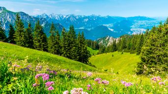 Landschaft im Allgäu
