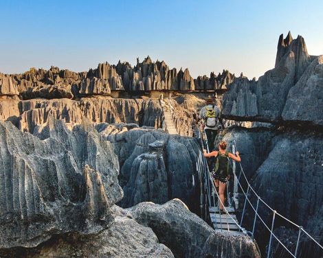 Die Insel der Lemuren und Baobabs