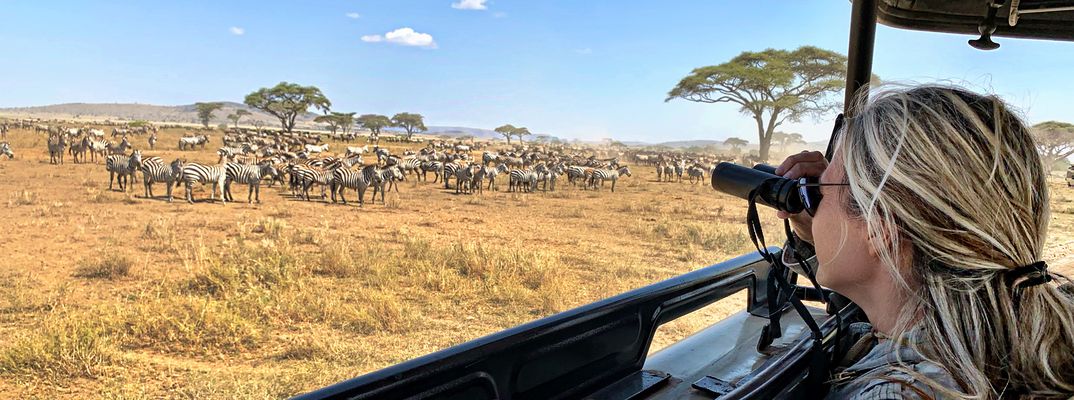 Frau beobachtet Zebras bei Safari in Tansania