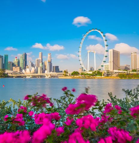 Blick auf Singapur