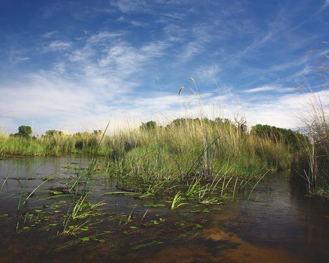 Drei faszinierende Länder Afrikas-3