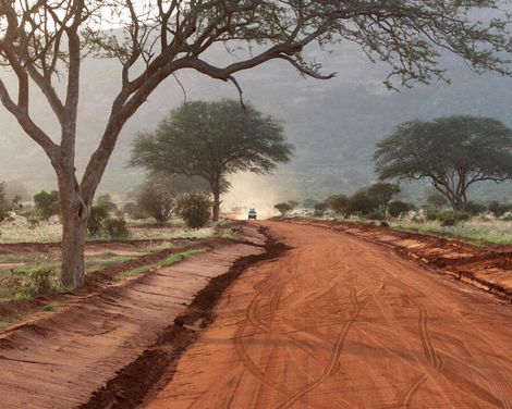 Safari, Zugfahrt & Badegenuss in kleiner Gruppe-2