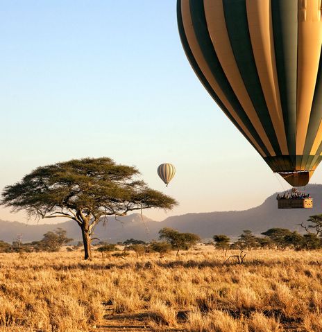 Heissluftballons im Seremgeti Nationalpark