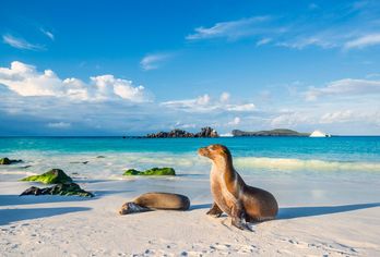 Ecuador & Galápagos-Inseln