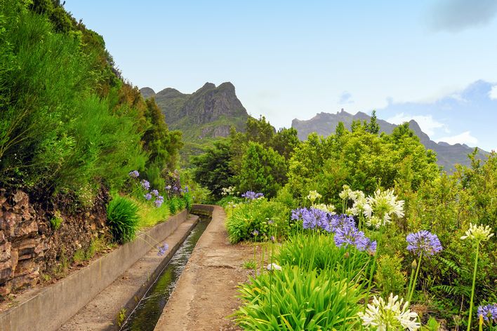 Levada auf Madeira