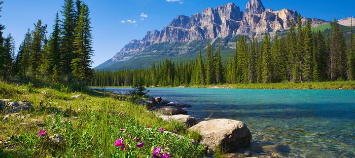 Türkisfarbener Fluss im Banff Nationalpark mit Nadelwald und Rocky Mountains