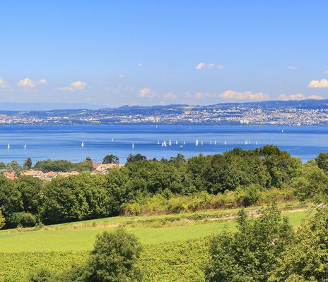 Blick auf den Genfer See