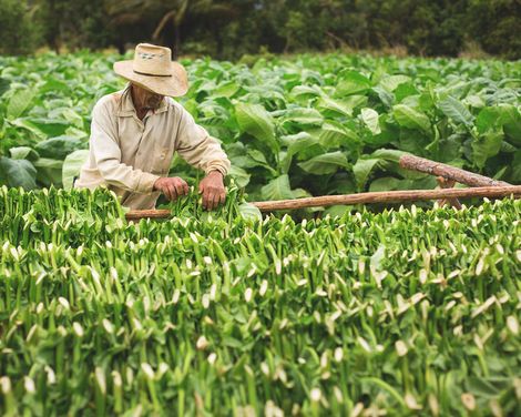 Vom Oldtimer zum Karibikparadies-3