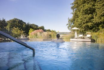 Heilthermen Resort Bad Waltersdorf