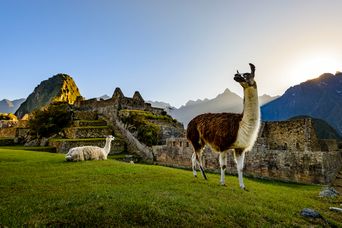 Machu Picchu in Peru