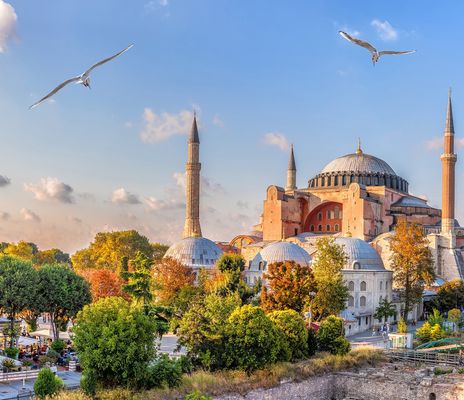 Hagia Sophia in Istanbul mit Vögeln