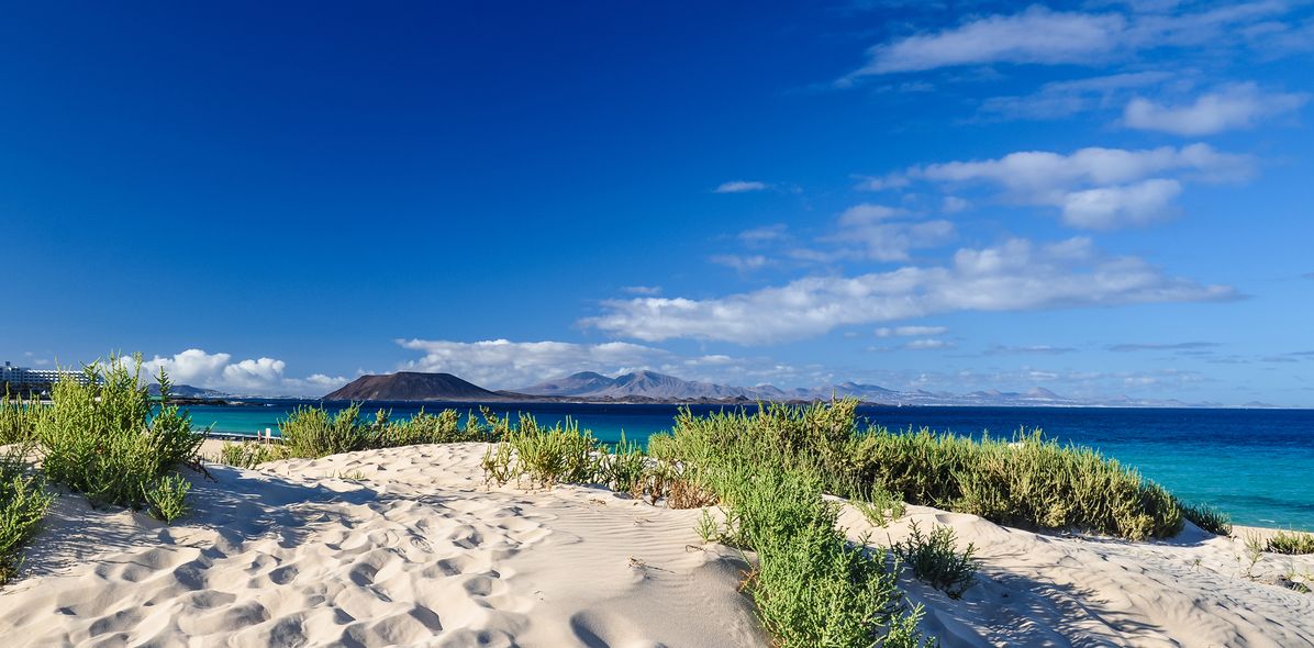 Strand mit Grün und Meer