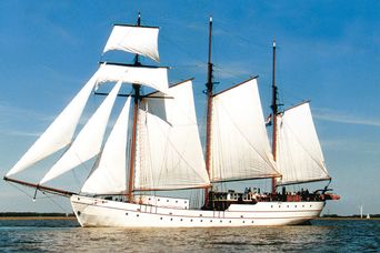 Segelschiff Laefde fan Fryslan