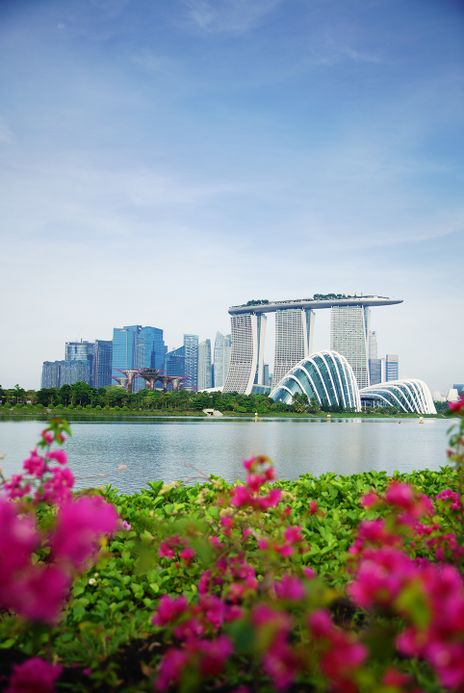 Blumenbeet im Vordergrund mit Blick auf die moderne Skyline von Singapur
