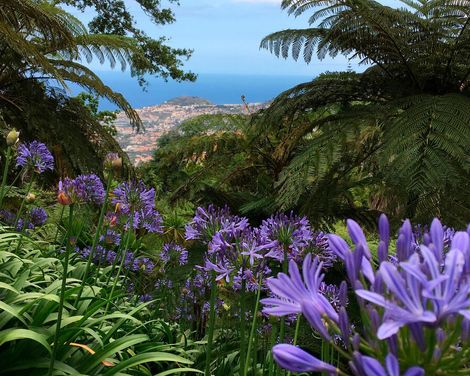 Entspannt wandern - ein Hotel, viele Erlebnisse-2