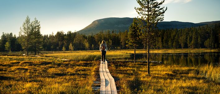 Frau wandert in den Bergen von Schweden