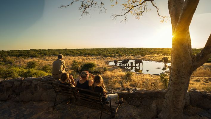 Tierbeobachtung im Etosha-Nationalpark