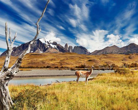 Expeditionsabenteuer ans Ende der Welt-0