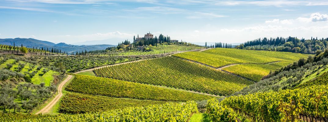 Weinregion Chianti in der Toskana