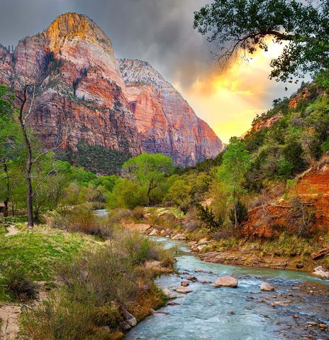 Ein Fluss schlängelt sich durch die Natur im Zion Nationalpark in Utah in den USA
