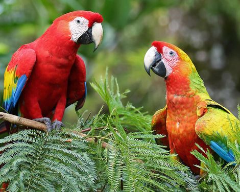 Zwischen Vulkanen, Dschungel & Geschichte-1