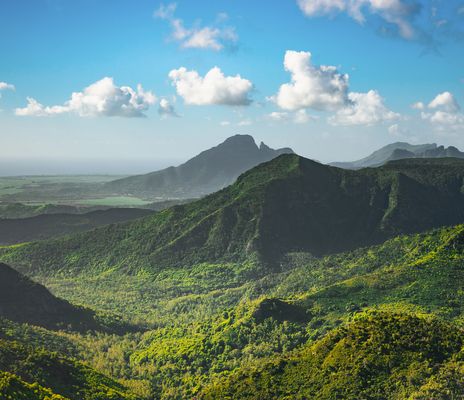 Aussicht auf die grünen Hügel und Täler des Black River Gorges Nationalparks auf Mauritius