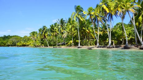 Strand mit Palmen in Panama