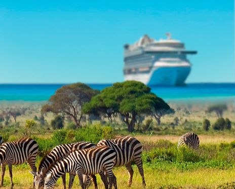 Zebras und Kreuzfahrtschiff
