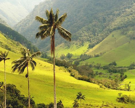 Geschichte, Genuss und Natur erleben-1