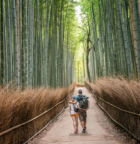 Paar im Bambuswald in Kyoto