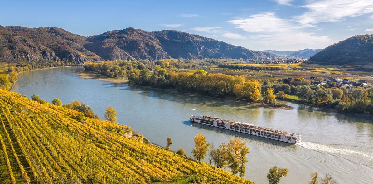 Flusskreuzfahrtschiff fährt entlang der Donau in Österreich mit Weinbergen am Ufer