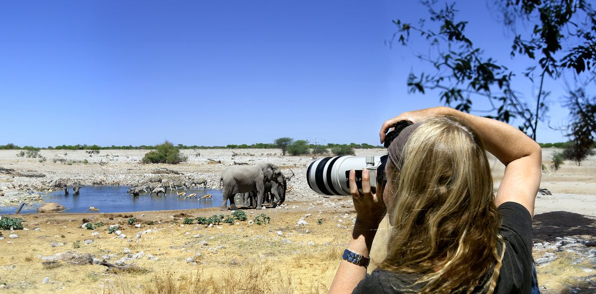 Reisende fotografiert Wildtiere am Wasserloch im Etosha-Nationalpark in Namibia