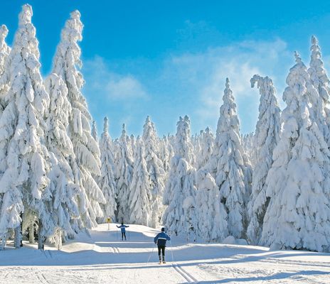 Winterlandschaft Bäume Skifahrer