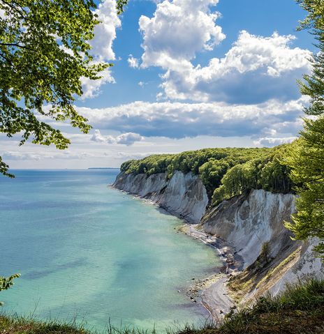 Kreidefelsen auf Rügen