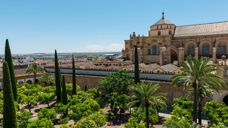Historischer Innenhof der Mezquita in Córdoba mit Palmen und Blick auf das imposante Bauwerk