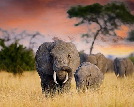 Wilde Natur und weißer Sand-0