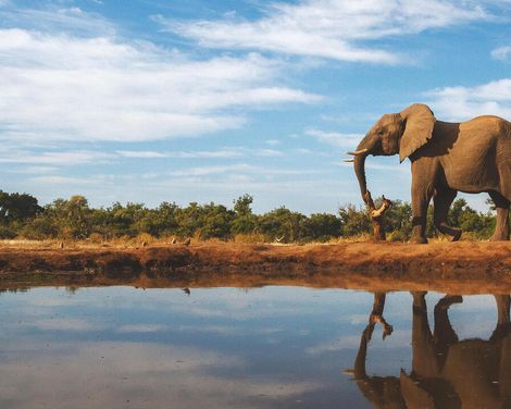 Abenteuer Afrika - zwischen Elefanten, Flüssen und Viktoriafällen-0