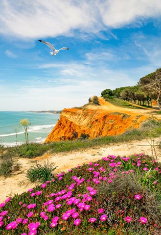 Landschaft an der Algarve